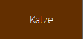 Katze