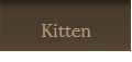 Kitten
