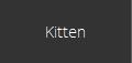 Kitten