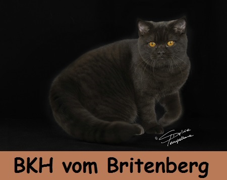 BKH_vom_Britenberg_Visitenkarte