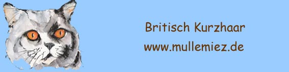 Banner Mullemiez
